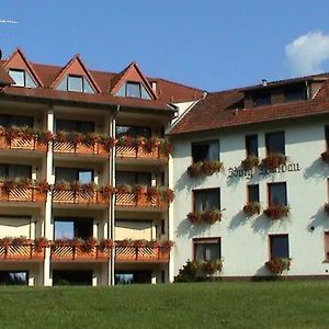 博格瓦尔道酒店 Grasellenbach Exterior photo