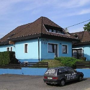 多米诺盘兹奥住宿加早餐旅馆 Székesfehérvár Exterior photo