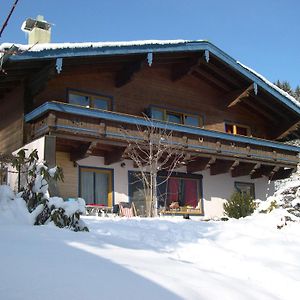 Great Group Holiday Home Neukirchen am Großvenediger Exterior photo