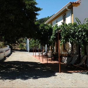 MarvãoQuinta Do Vaqueirinho - Agro-Turismo别墅 Exterior photo