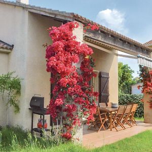 Lovely Home In Cervione With Kitchen Exterior photo