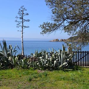 Casa Natura 阿莫利亚尼岛 Exterior photo