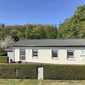 Ferienhaus In Kleiner Siedlung Nahe Am See Dargun Exterior photo