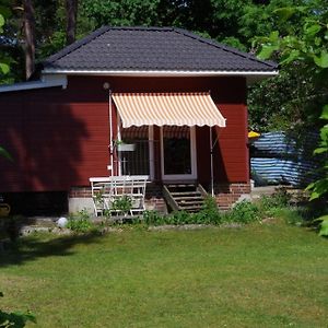 Gemutliches Ferienhaus In Gross Koris Mit Garten, Terrasse Und Grill Exterior photo