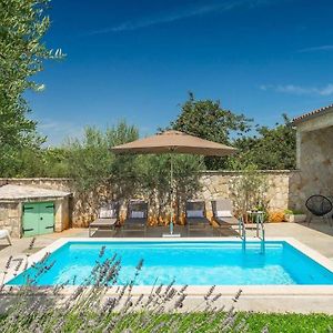 Beautiful Istrian Villa With Private Pool Mrgani Exterior photo