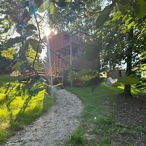 Danaya X Gite Tiny House En Foret Sainte-Nathalène Exterior photo