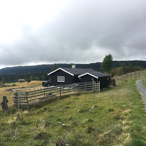 Einkjerrbu Cabin By Norgesbooking - Svingvoll Exterior photo