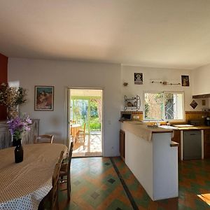 La Boissetane, Maison Provencale Avec Piscine Et Jardin, Au Pied Du Luberon Saint-Martin-de-Castillon Exterior photo