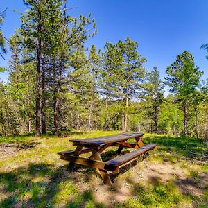 Sunny Forest Cabin With Views Of Pikes Peak Mtn! Florissant Exterior photo