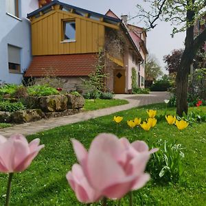 Ferienwohnung Wiesenhof 诺伊霍夫安德泽恩 Exterior photo