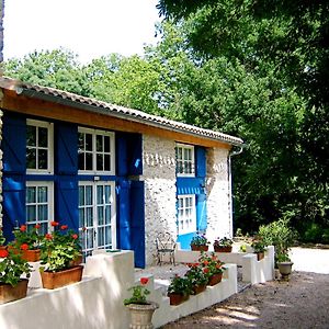 Le Clos Sainte Marie - Lampy Cenne-Monesties Exterior photo