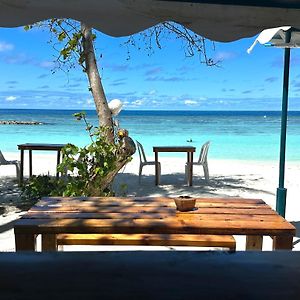 Bougainvillea Inn - Maldives 弗里德胡 Exterior photo