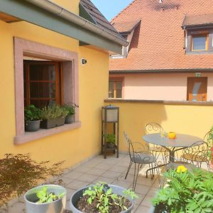 昂西桑Le Schmoutz: Charmant Duplex Entre Colmar Et Mulhouse公寓 Exterior photo