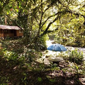 基多Bosque Secreto - Private Cabin And Camping别墅 Exterior photo
