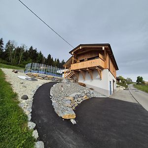 Grafendorf bei HartbergFernblick Chalet Gruber公寓 Exterior photo