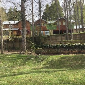 Cabana Rodeada De Bosque Nativo Para 12 Amplio Jardin - Alquilamicasa San Martín de los Andes Exterior photo