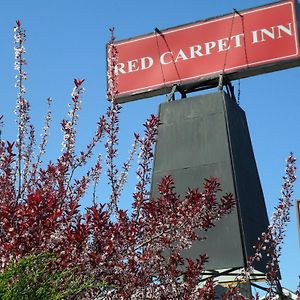 红地毯布如克劳恩酒店 布鲁克劳恩 Exterior photo