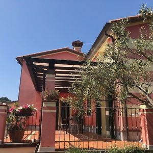 Podere Morucciola 阿尔科拉 Exterior photo