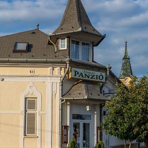 Gyomaendrőd Timar Panzio酒店 Exterior photo