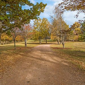 摩尔克里克黑森林公园别墅 Mole Creek Exterior photo