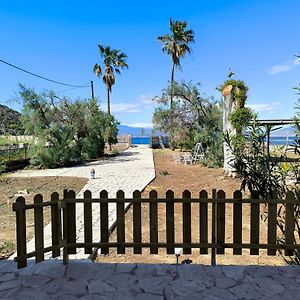 Palm Tree House By The Beach Skhoínos Exterior photo