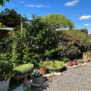 Massa LombardaLa Casa Di Biba住宿加早餐旅馆 Exterior photo