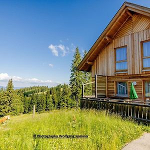 Chalet In Weinebene With Sauna Posch Alpe Exterior photo