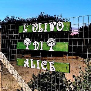 马尔萨拉L'Ulivo Di Alice公寓 Exterior photo