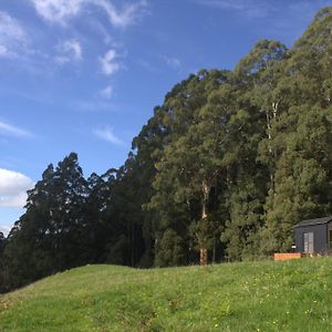 The Perfect Tiny House In Nature Glenaire Exterior photo