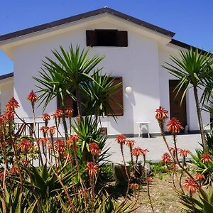 Casa Rosalia - Home And Garden Misilmeri Exterior photo