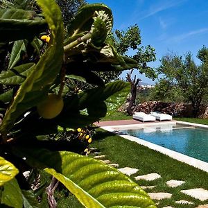 Impressive Chania Villa | Villa Trunks | Spacious Outdoor Area With Private Pool | Ayios Pavlos, Gavalochori Exterior photo