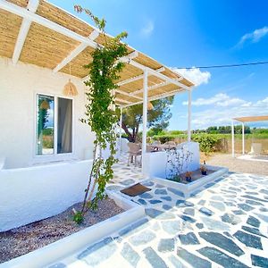 Analipsis Unique Cycladic Detached House - Private Garden - Dimi别墅 Exterior photo