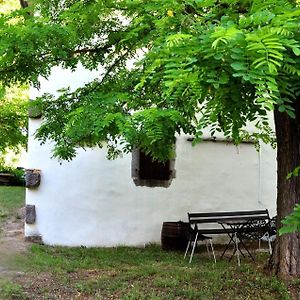 Ferienhaus Fur 4 Personen In Kotli, Istrien别墅 Exterior photo