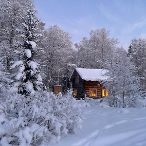 JornGemuetliche Blockhuette Mit Aussentoilette Und Badezimmer Im Haupthaus别墅 Exterior photo