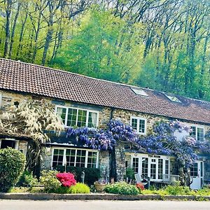 Charming Holiday Cottage In Devon - Country Views 蒂弗顿 Exterior photo