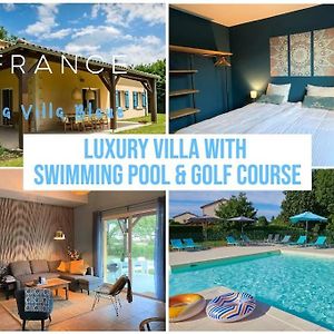 Luxury Villa On Park With Swimming Pool Vasles Exterior photo