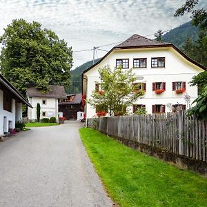格拉维施尼克-霍费尔婴儿和家庭农场酒店 Gmünd Exterior photo