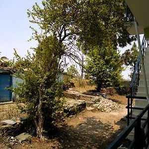 Chelistays : Scenic Himalayan Stay Hawalbagh Exterior photo