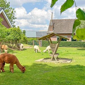 Alpacafarm Vorstenbosch Exterior photo