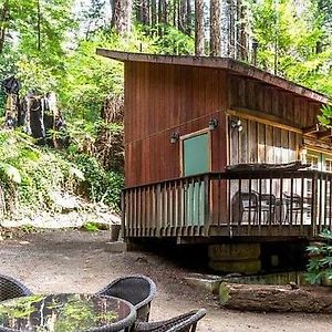 Notleys Landing Lofted Studio Cabin In The Redwoods!旅馆 Exterior photo