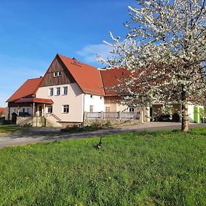 Ferienwohnung Sandsteinland Reinhardtsdorf-Schona Exterior photo