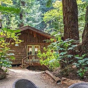 Notleys LandingMagical Cabin Retreat In The Redwoods!!别墅 Exterior photo