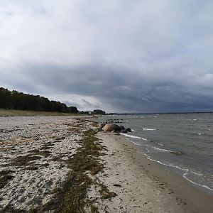 Ferienwohnungen "Weitblick" Und "Schwalbennest" Lodmannshagen Room photo