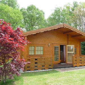 Ferienhaus Muldental, Limbach-Oberfrohna别墅 Exterior photo