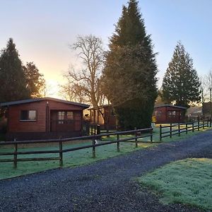 Oathill Farm Lodges Winsham Exterior photo