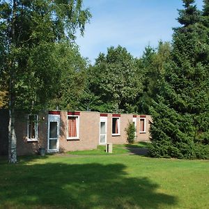 Tidy Bungalow With Garden Located In Natural Area Vledder Exterior photo