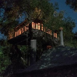 帕拉蒙纳斯Margaritis'S Treehouse别墅 Exterior photo