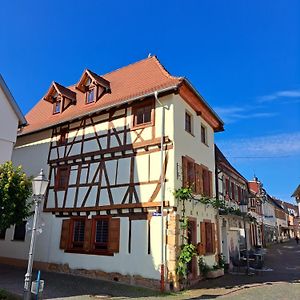 Gastehaus Merlin 巴特贝格匝本 Exterior photo