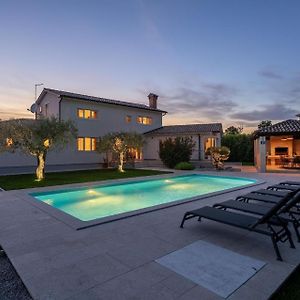 Villa Gemini Mit Salzwasserpool, Kinderspielplatz Und Garten, Unweit Von Porec Und Dem Strand Radovani Exterior photo