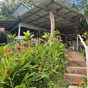 Beachfront Tiny Bungalow Boca de Boca de Ario Exterior photo